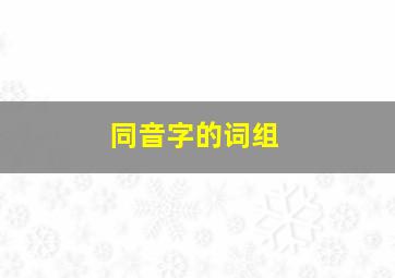 同音字的词组