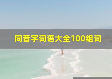 同音字词语大全100组词