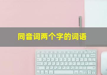 同音词两个字的词语