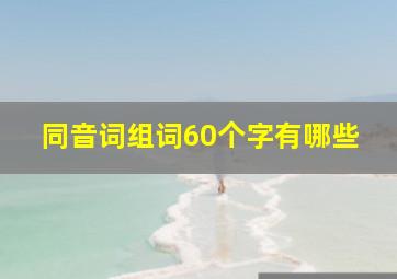 同音词组词60个字有哪些