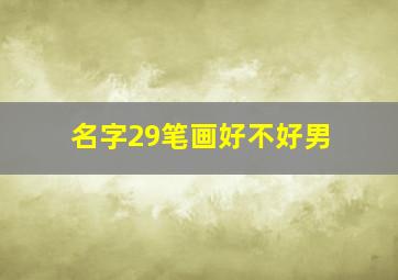 名字29笔画好不好男