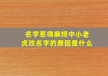 名字惹得麻烦中小老虎改名字的原因是什么