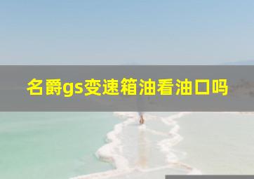 名爵gs变速箱油看油口吗