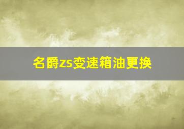 名爵zs变速箱油更换