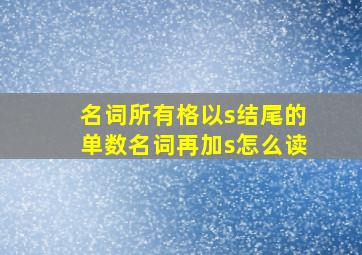 名词所有格以s结尾的单数名词再加s怎么读