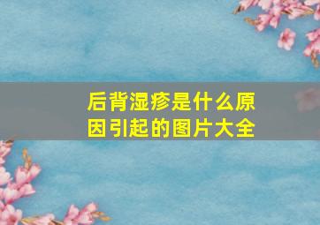 后背湿疹是什么原因引起的图片大全