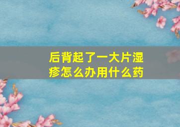 后背起了一大片湿疹怎么办用什么药