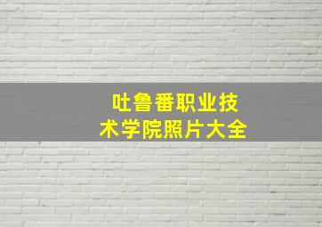 吐鲁番职业技术学院照片大全