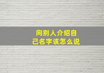 向别人介绍自己名字该怎么说