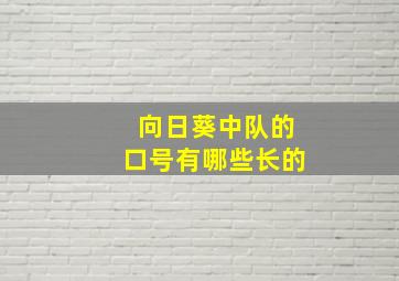 向日葵中队的口号有哪些长的