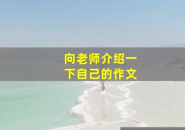 向老师介绍一下自己的作文