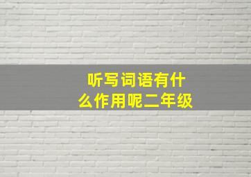 听写词语有什么作用呢二年级