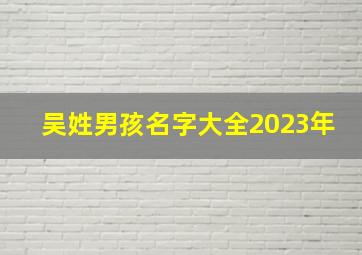 吴姓男孩名字大全2023年