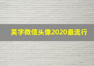 吴字微信头像2020最流行