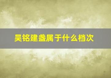 吴铭建盏属于什么档次