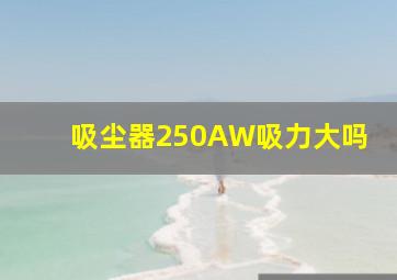 吸尘器250AW吸力大吗