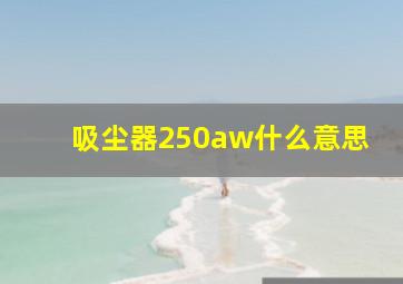 吸尘器250aw什么意思