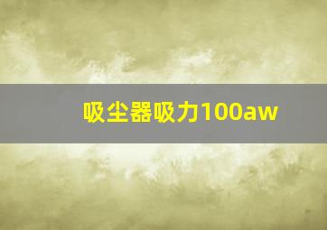 吸尘器吸力100aw