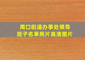 周口街道办事处领导班子名单照片高清图片