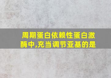 周期蛋白依赖性蛋白激酶中,充当调节亚基的是