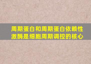 周期蛋白和周期蛋白依赖性激酶是细胞周期调控的核心