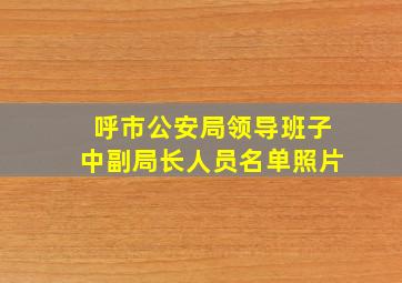 呼市公安局领导班子中副局长人员名单照片