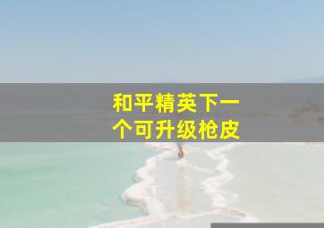 和平精英下一个可升级枪皮