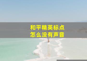 和平精英标点怎么没有声音