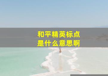 和平精英标点是什么意思啊