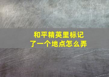 和平精英里标记了一个地点怎么弄