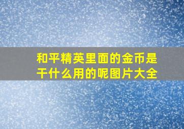 和平精英里面的金币是干什么用的呢图片大全