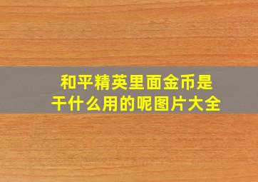 和平精英里面金币是干什么用的呢图片大全