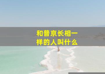 和普京长相一样的人叫什么