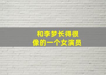 和李梦长得很像的一个女演员