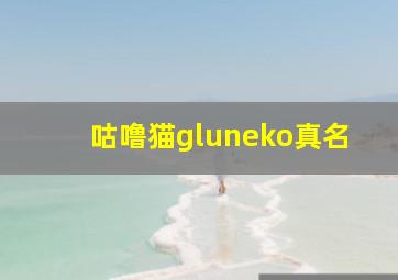 咕噜猫gluneko真名