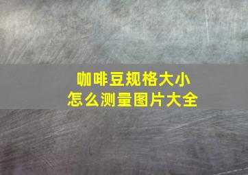 咖啡豆规格大小怎么测量图片大全