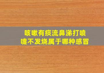 咳嗽有痰流鼻涕打喷嚏不发烧属于哪种感冒