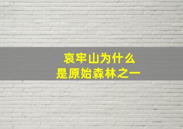 哀牢山为什么是原始森林之一