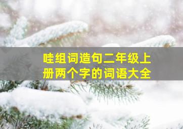 哇组词造句二年级上册两个字的词语大全