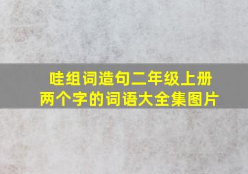 哇组词造句二年级上册两个字的词语大全集图片