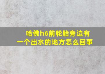 哈佛h6前轮胎旁边有一个出水的地方怎么回事