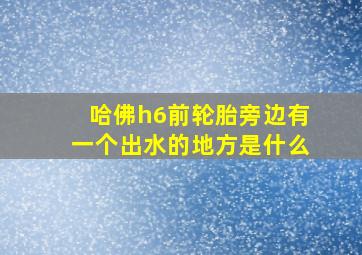 哈佛h6前轮胎旁边有一个出水的地方是什么