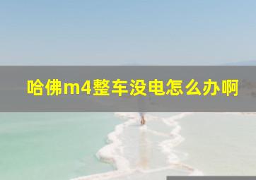 哈佛m4整车没电怎么办啊