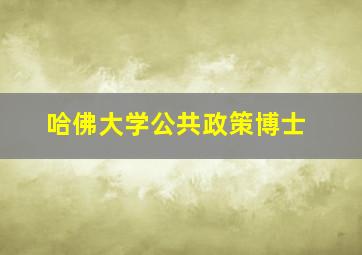 哈佛大学公共政策博士