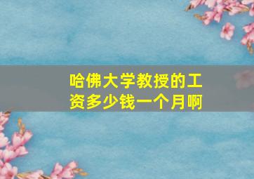 哈佛大学教授的工资多少钱一个月啊