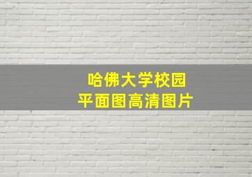 哈佛大学校园平面图高清图片