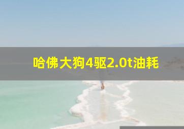 哈佛大狗4驱2.0t油耗