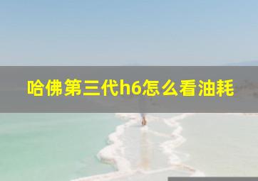 哈佛第三代h6怎么看油耗