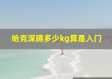 哈克深蹲多少kg算是入门