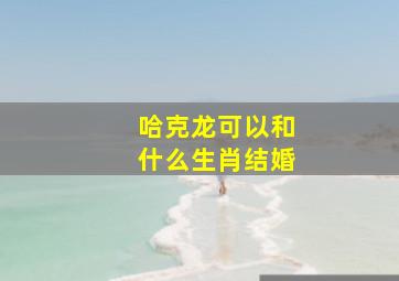 哈克龙可以和什么生肖结婚